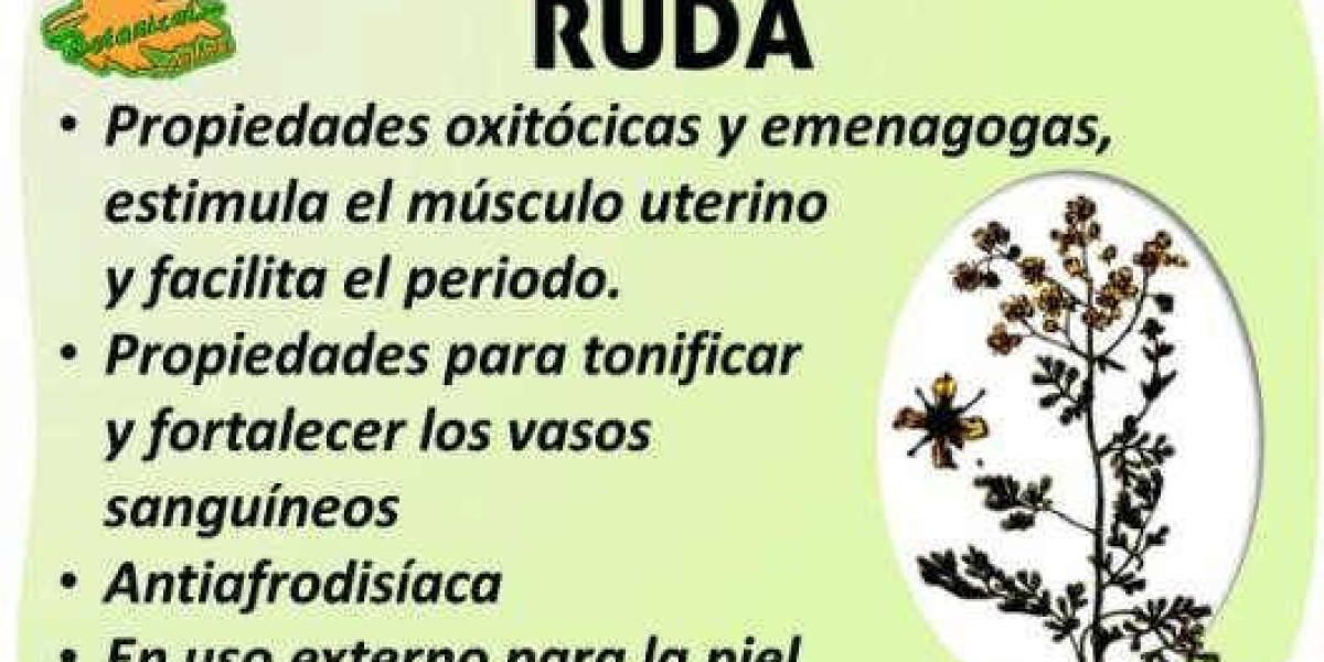 Descubre los Poderosos Beneficios de la Ruda para la Salud de tu Piel