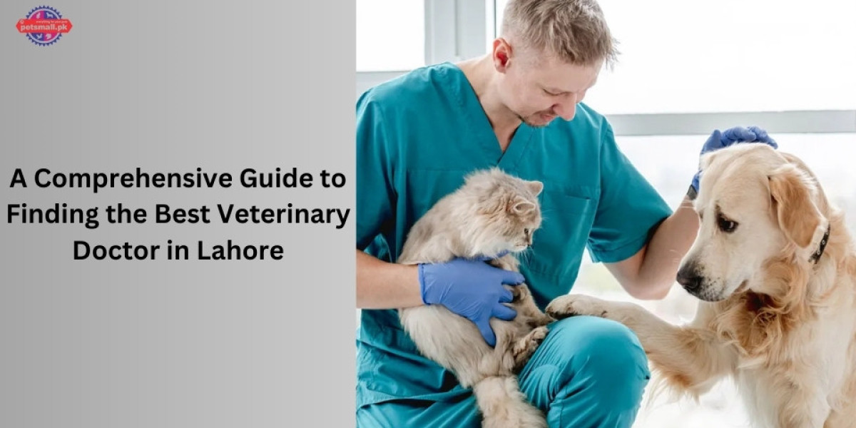 A Comprehensive Guide to Finding the Best Veterinary Doctor in Lahore