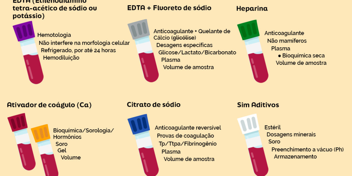 PRÉ 4 FELINO: O teste fundamental para garantir o bem-estar do seu gato