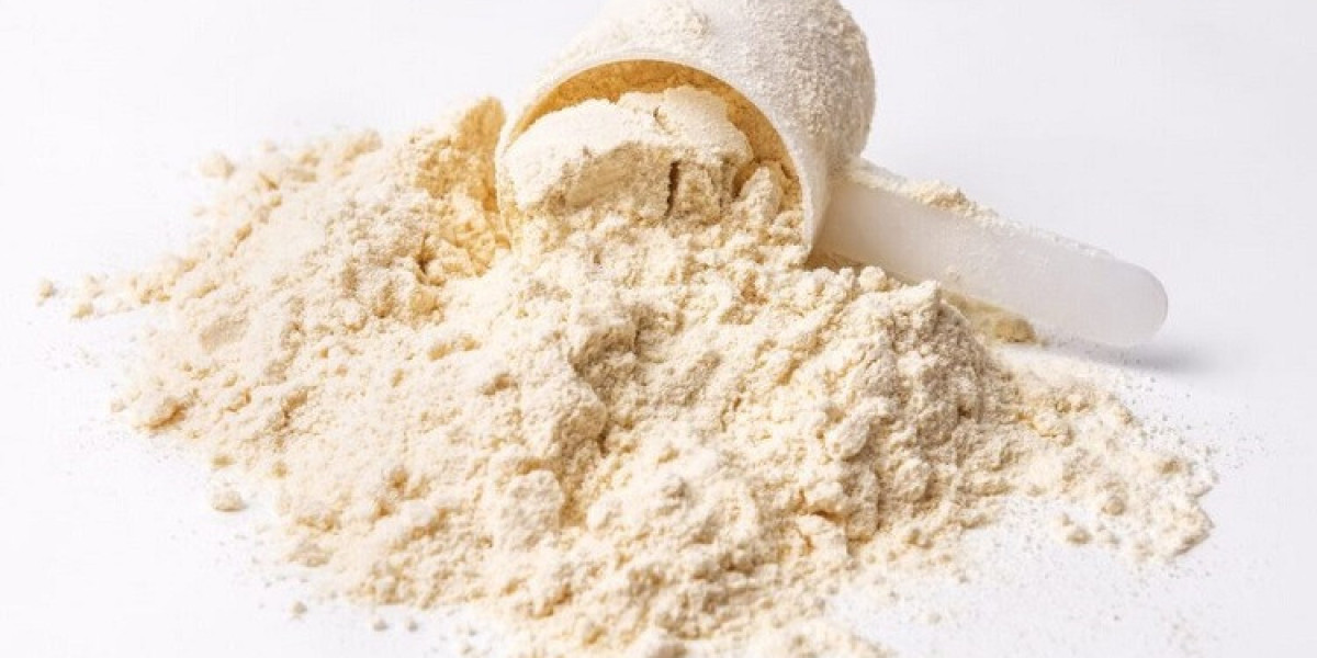 Vegan Protein Concentrate Market Size, Industry Overview and Regional Outlook Study 2024 - 2032